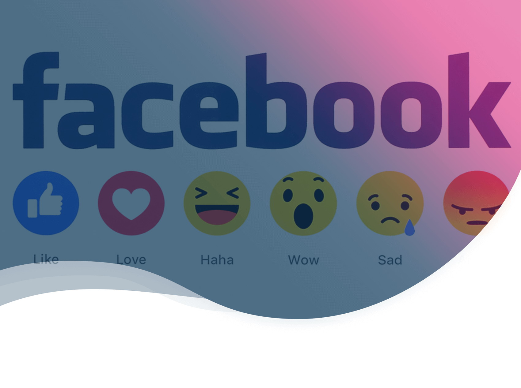 header de l'article expliquant l'intérêt de facebook en b2b