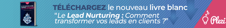 livre blanc lead nurturing