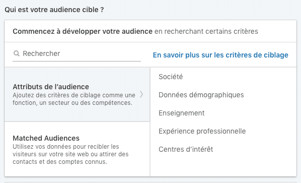 Choix des attributs de l'audience lors de la création d'une audience LinkedIn