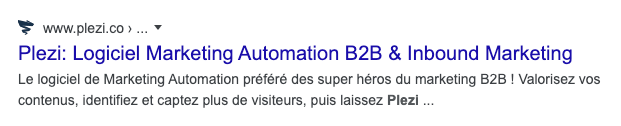 Affichage du favicon dans les serp pour le site plezi