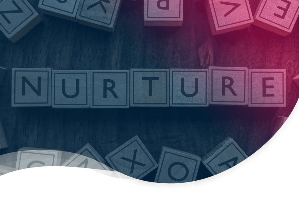 header for Our guide for a marketer with no content