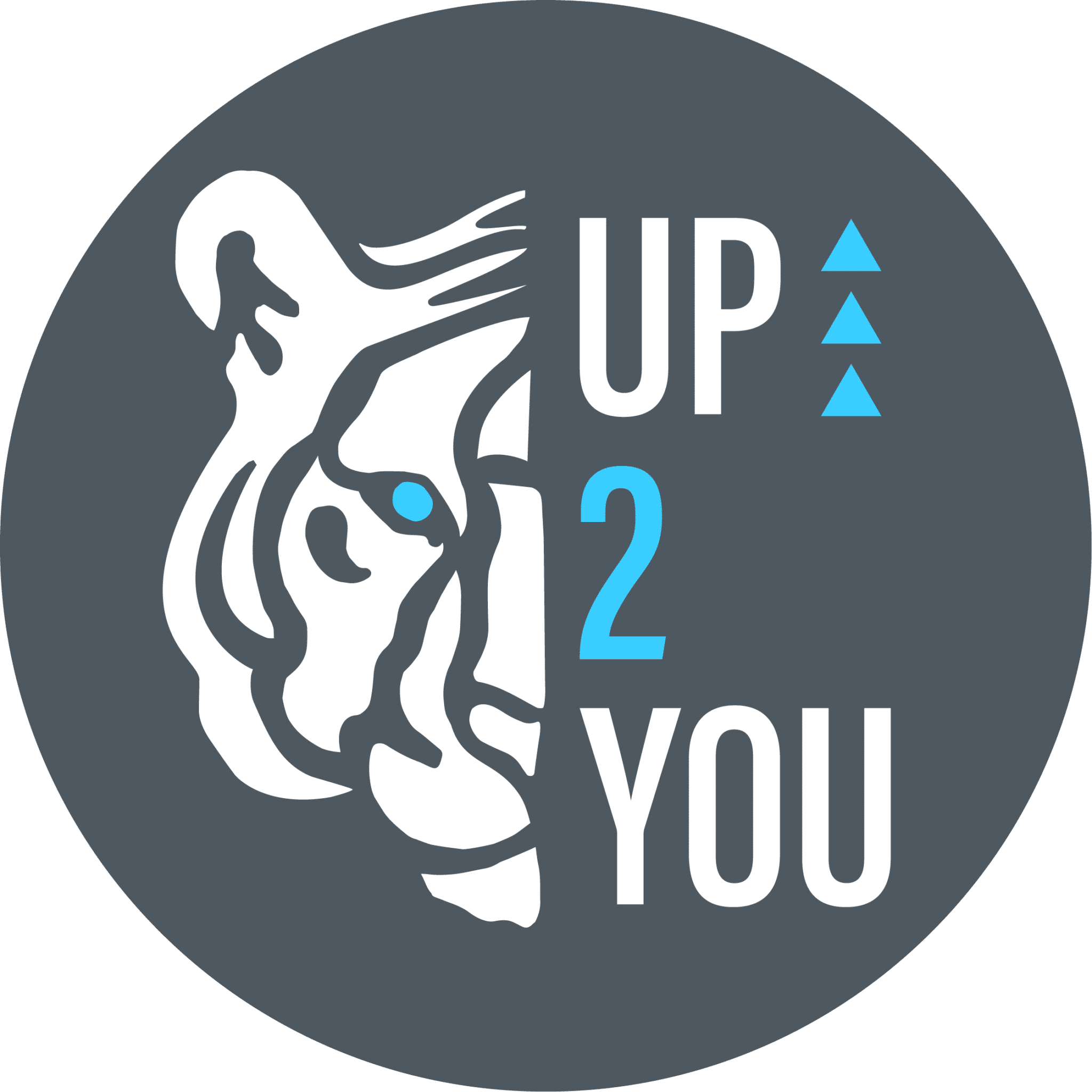 Logo de l'agence Up2you Silver partenaire chez Plezi