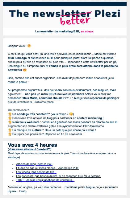 exemple emailing newsletter plezi