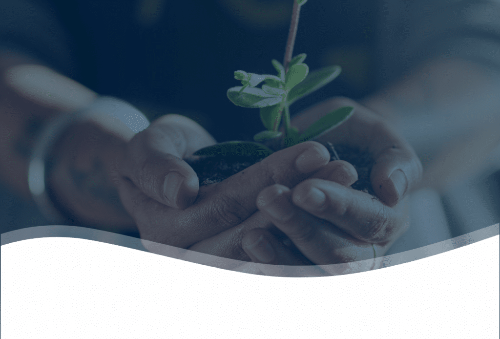 Growth Hacking